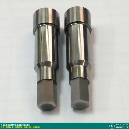 溫州鎢鋼沖針 浩鐸精密五金 廠商 產(chǎn)品定制嘛